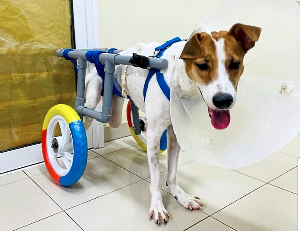 Double-amputee Mon uses wheels to move around.