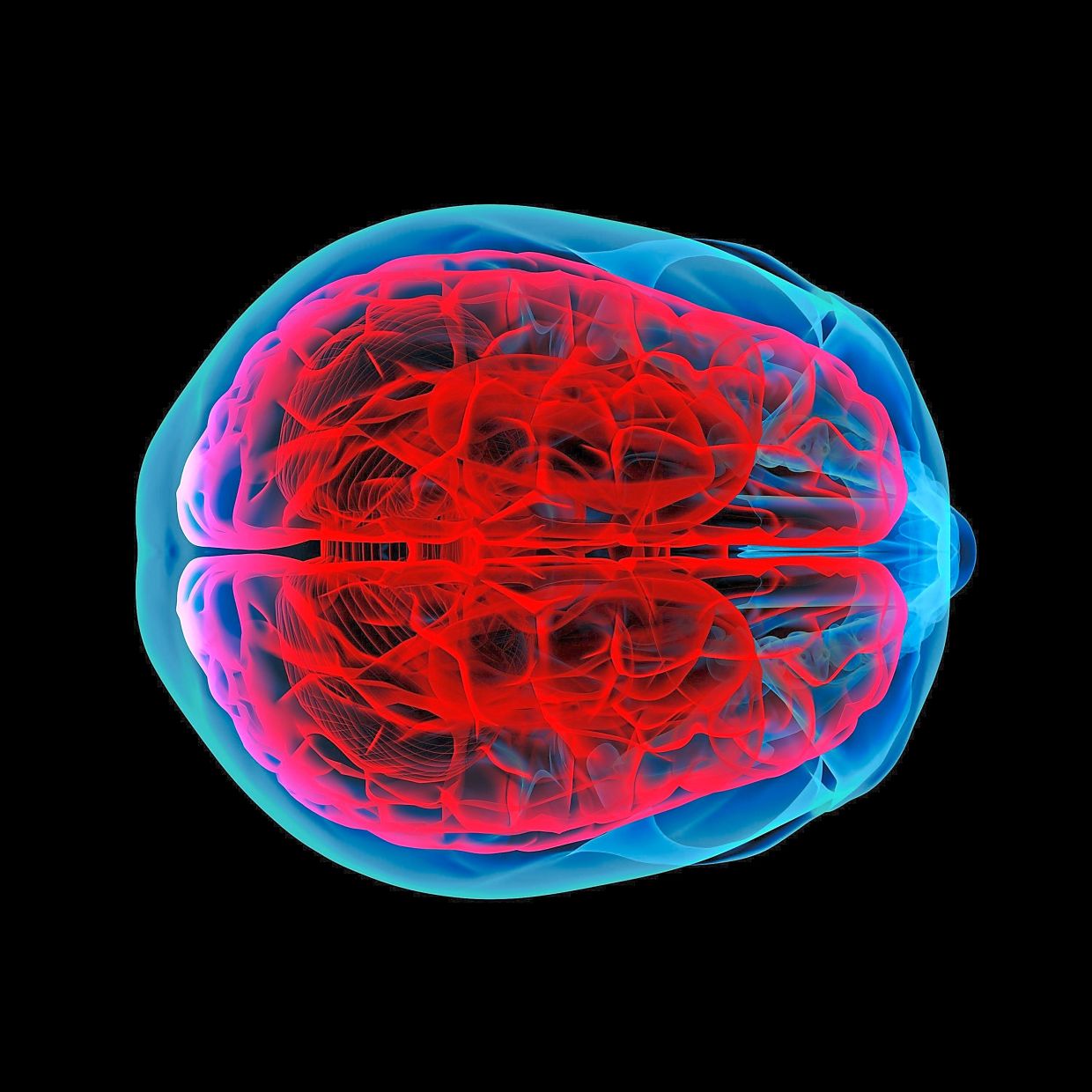 The prefrontal cortex, which manages decision-making and impulse control, is still developing in teenagers, which is why they are more prone to risky behaviour, like vaping or smoking.