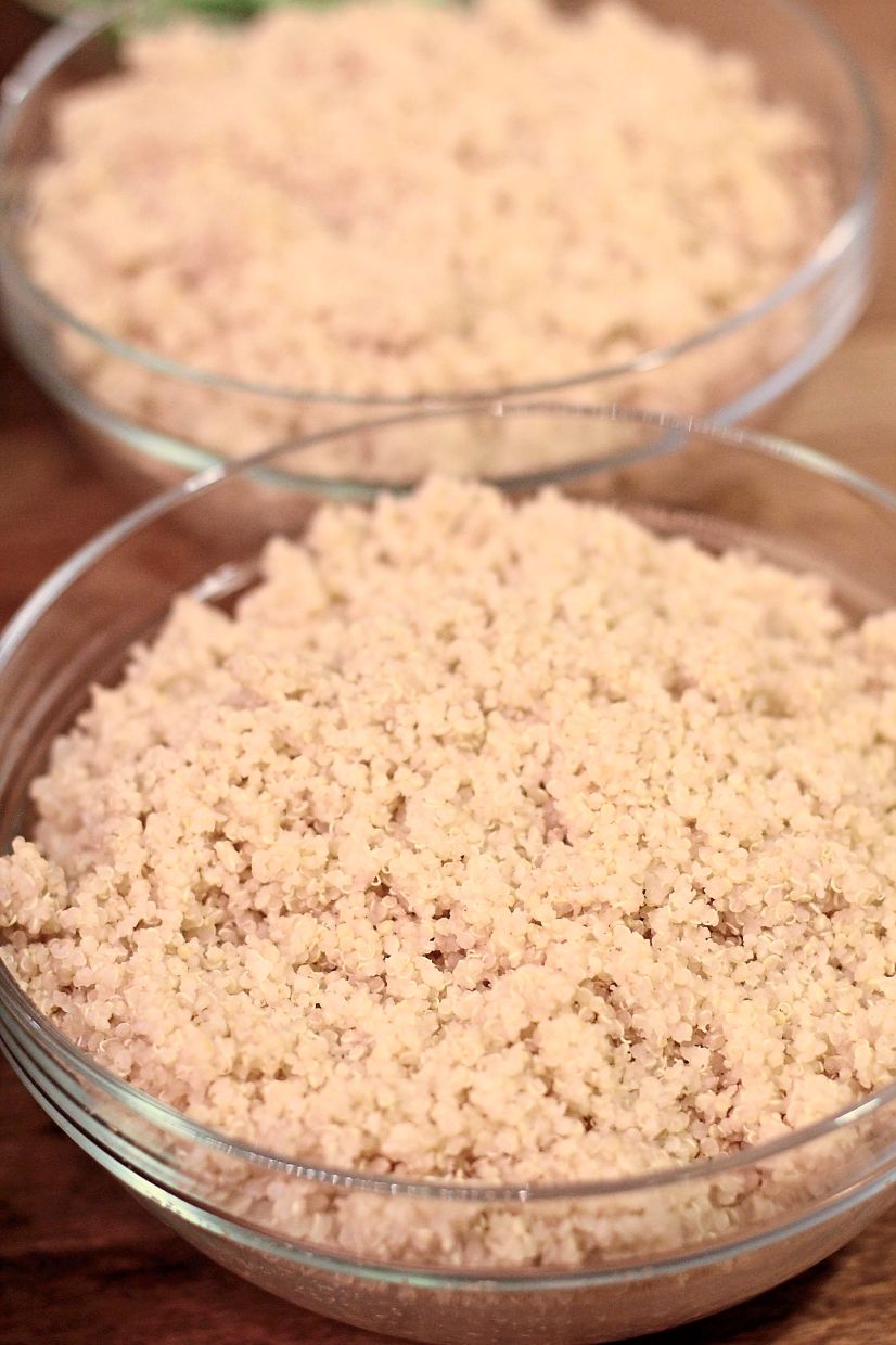 For vegetarians or vegans, quinoa is one of the plant-based foods that contain all the essential amino acids. — Filepic