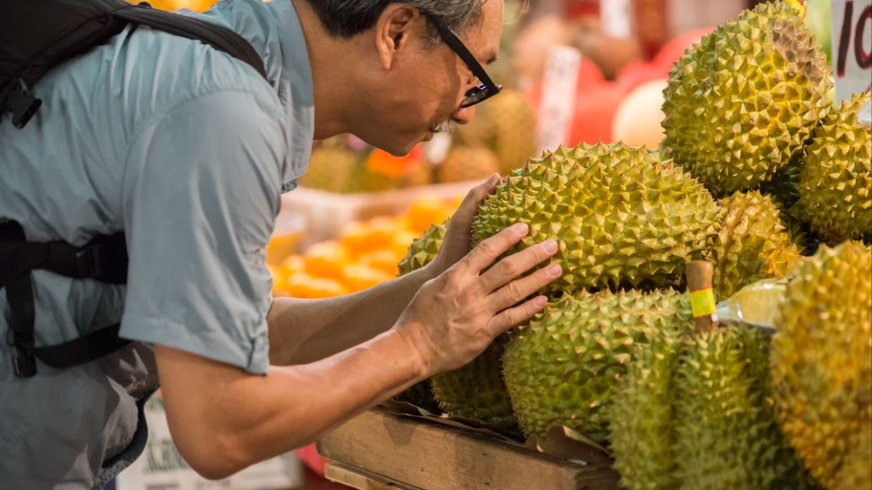 China's durian appetite grows as the now fashionable 'king of fruits'  becomes a costly status symbol | The Star