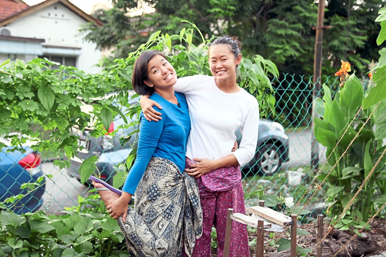 Painting the towns green - Vimarsana News