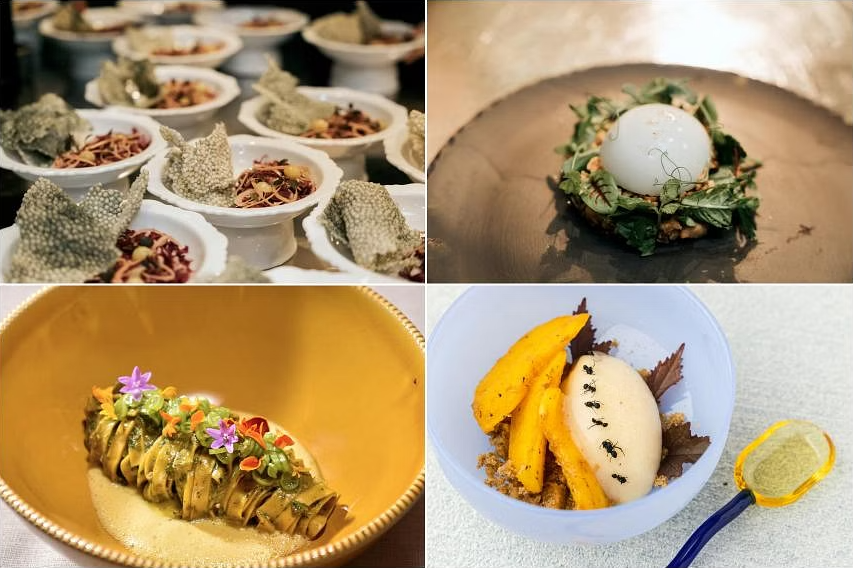 What's new in the future of food? - Vimarsana News