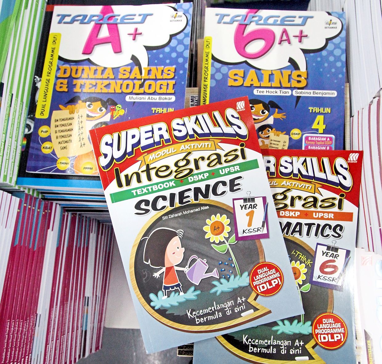 The writer hopes that Education Ministry will find a way to keep the Dual Language Programme in school. — Filepic