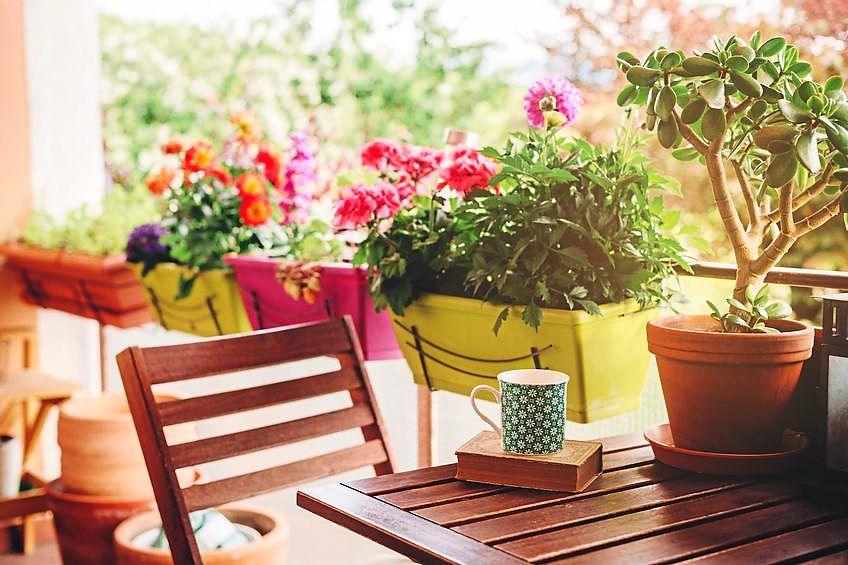 You can create healing gardens even in small spaces such as an apartment balcony.
