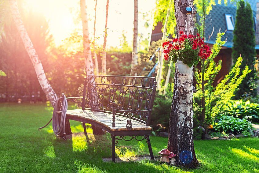 How gardens and greenery are good for our mental wellbeing - Vimarsana News