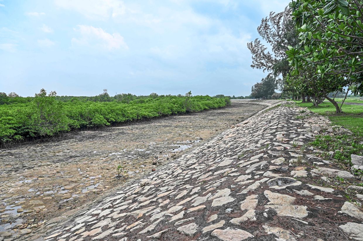 Saving ‘Garbage of Eden’ The Star