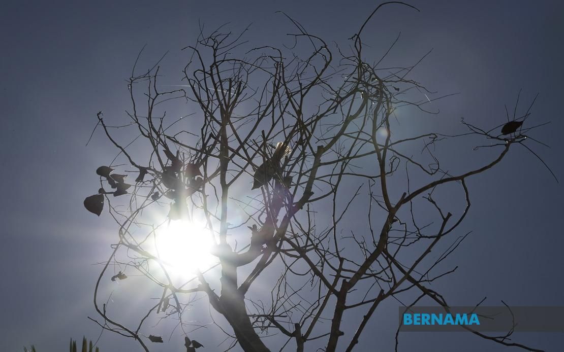 Six in Indonesia's central Papua dies from heat-related due to extreme weather - Vimarsana News