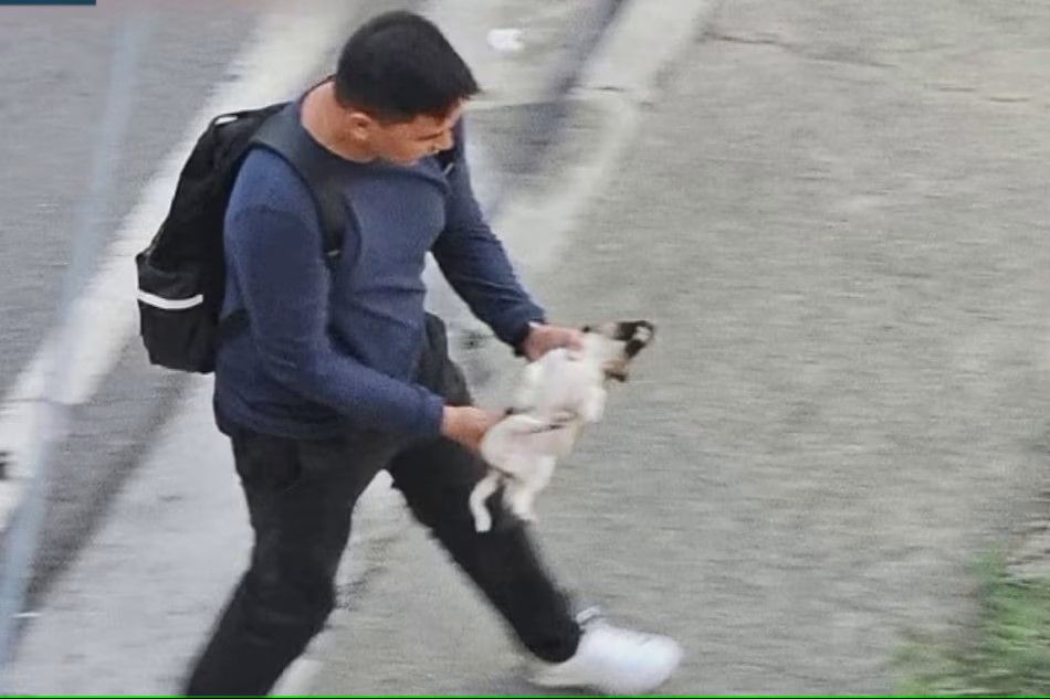 Stop animal cruelty in the Philippines The Star