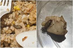 Singapore man finds cockroach in Pepper Lunch meal ordered online from well-known Japanese restaurant