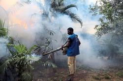 Bangladesh grapples with record outbreak of dengue fever