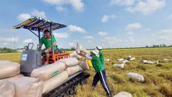 Vietnam PM seeks to boost food security and rice supply