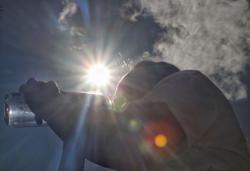 Watch out for reptiles too, says Sabah Health Dept as mercury rises