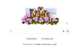 ‘A symbol of Singapore’: Bishan otters make an appearance on Google Doodle
