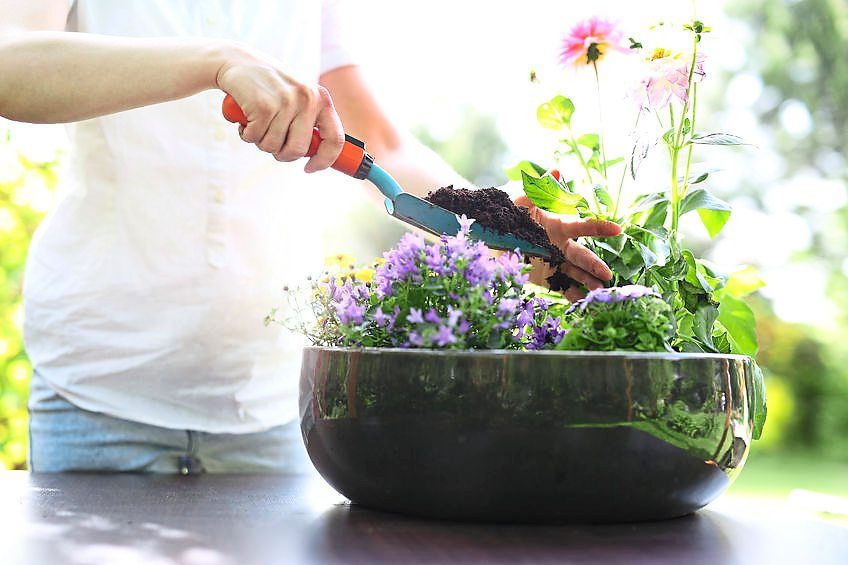 It’s better to under-fertilise than over-fertilise your plants.