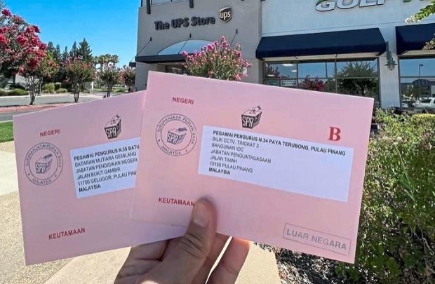 The lengths voters abroad go to - Vimarsana News
