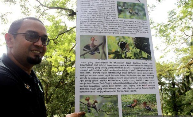 Taiping Bird Week a hit with foreign visitors - Vimarsana News
