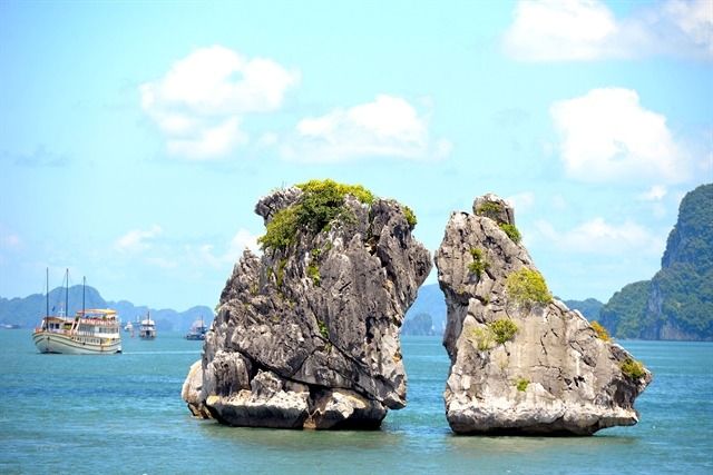 Kissing Rocks in Vietnam's Ha Long Bay at risk of collapse, experts warn - Vimarsana News
