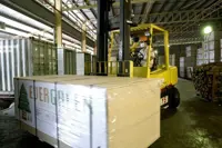 Cautious outlook for Evergreen Fibreboard