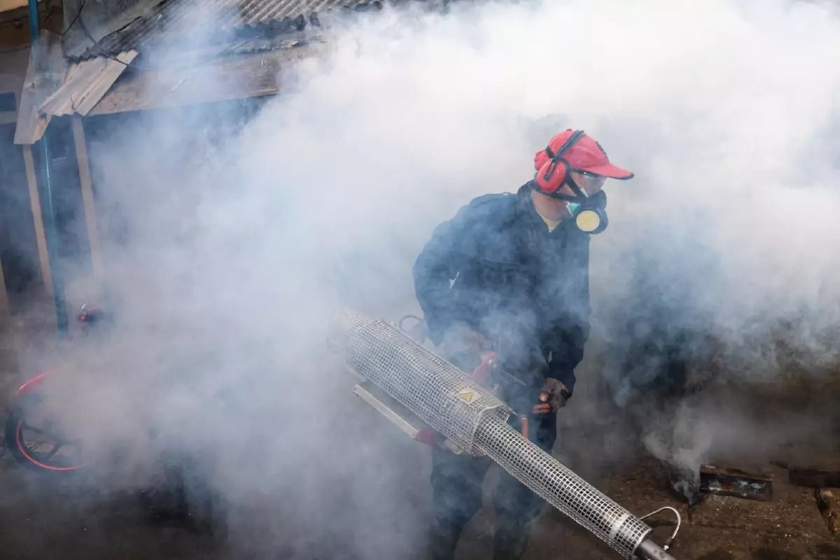 Thailand govt announces that top strategies to prevent dengue in the workplace and for travellers - Vimarsana News