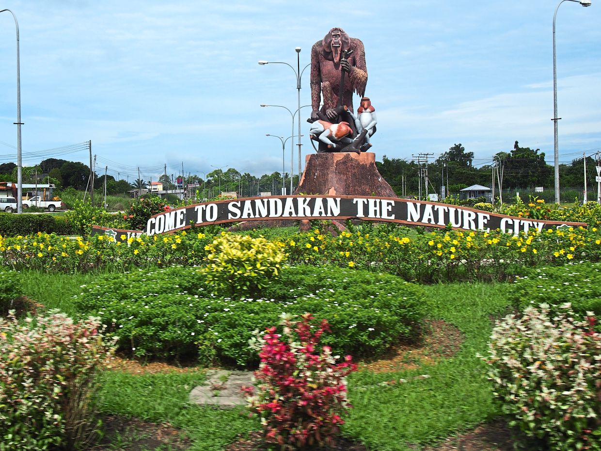 Nature is thriving in Sabah's coastal town of Sandakan