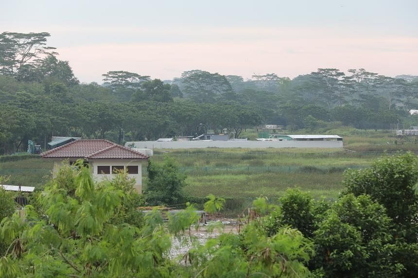 Singapore Food Agency unveils options to boost output under Lim Chu Kang area masterplan - Vimarsana News