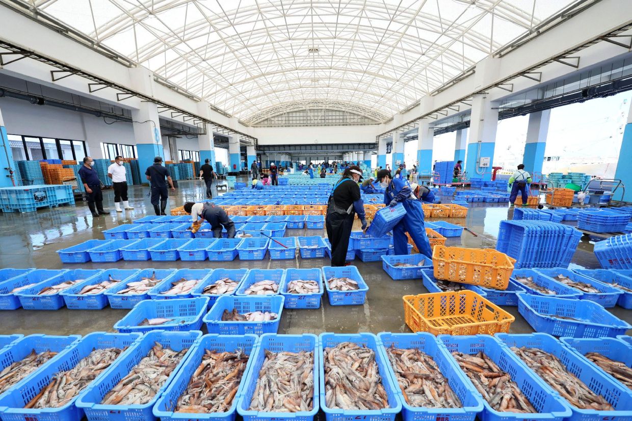 Japan fishermen, locals seek halt to Fukushima water release