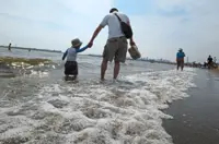 Kids develop better with dads who change diapers and care for them