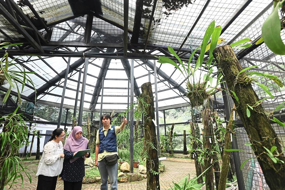 Treasury of Malaysia's floral heritage - Vimarsana News