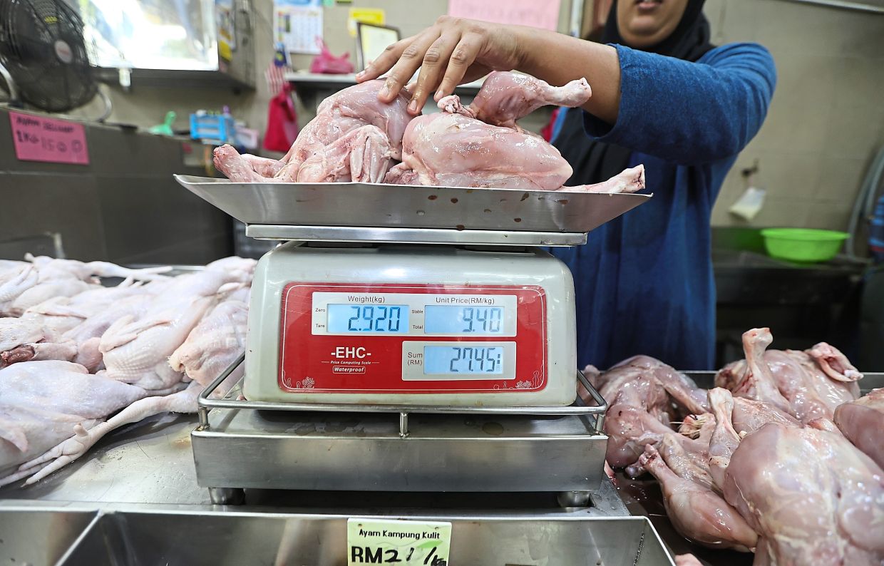 Double whammy for Penang poultry sellers | The Star