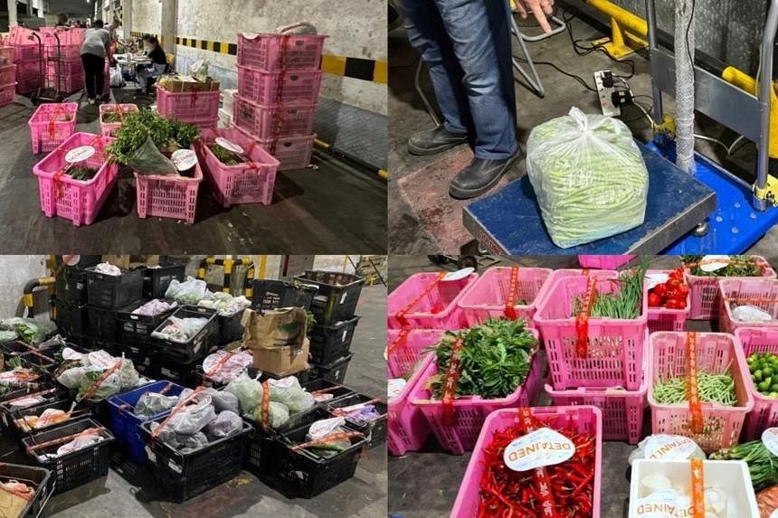 More than 1.6 tonnes of illegally imported vegetables from Malaysia seized at Woodlands Checkpoint - Vimarsana News
