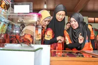 ‘Alien’ threats to the environment