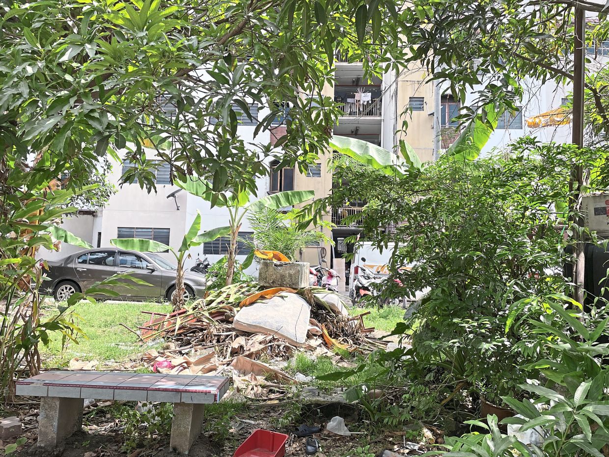 Maintenance fees unpaid for two decades including by Selangor govt