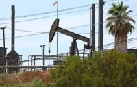 Money managers  pile back into crude
