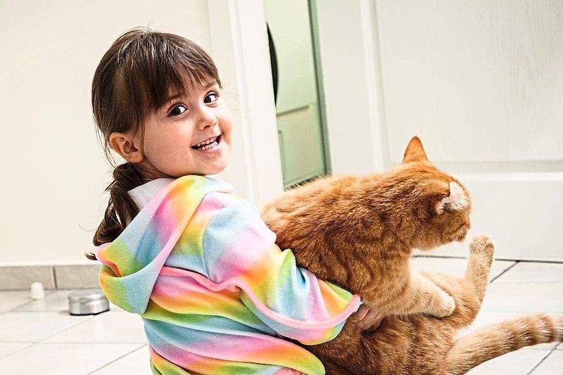 Cats can also be good pets for children, but they’re more independent than dogs. Some cats love to cuddle, while others prefer to be left alone. 