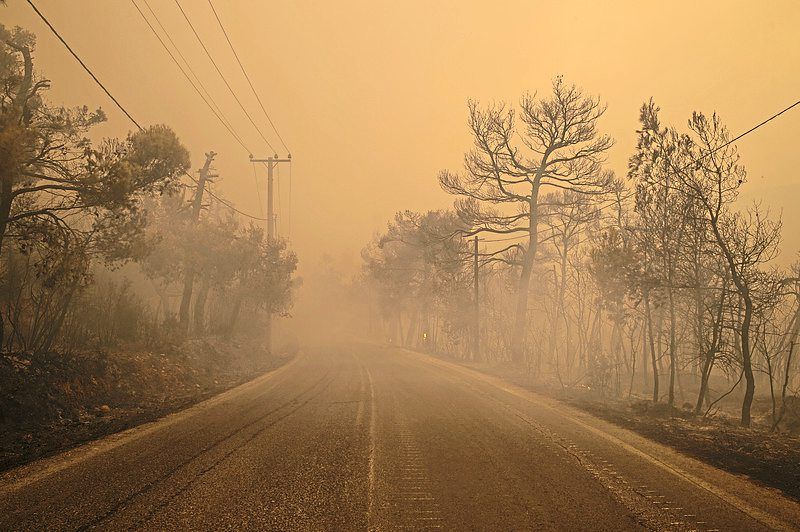 New age of fire activity: The perfect storm that set Hawaii ablaze could happen almost anywhere - Vimarsana News