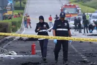 Air crash not survivable due to magnitude of deceleration force, says preliminary report