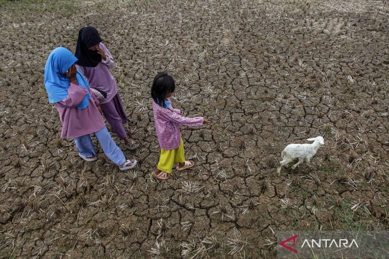 Climate change can affect children's basic rights, says top Indonesian child observer - Vimarsana News
