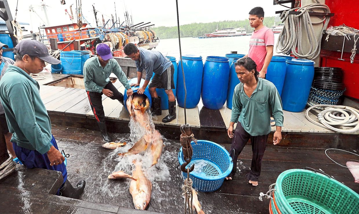 Penang eateries experiencing a drop in seafood sales - Vimarsana News
