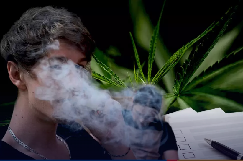 Cannabis plan is govt policy Thais are most opposed to: Survey - Vimarsana News