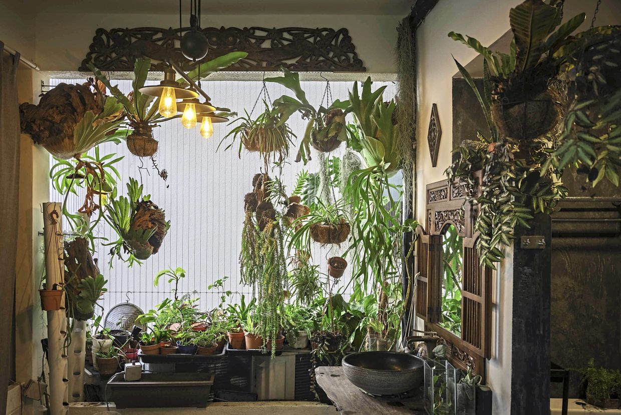 The entrance of the studio, which was the former kitchen and yard area, adopts a Balinese theme and open-concept bathroom.