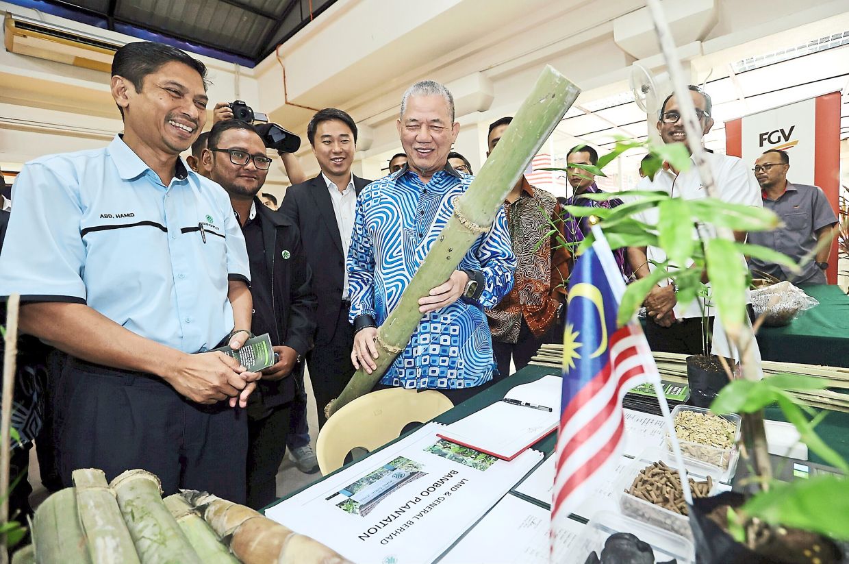 Fadillah: Vast potential for bamboo industry to grow - Vimarsana News