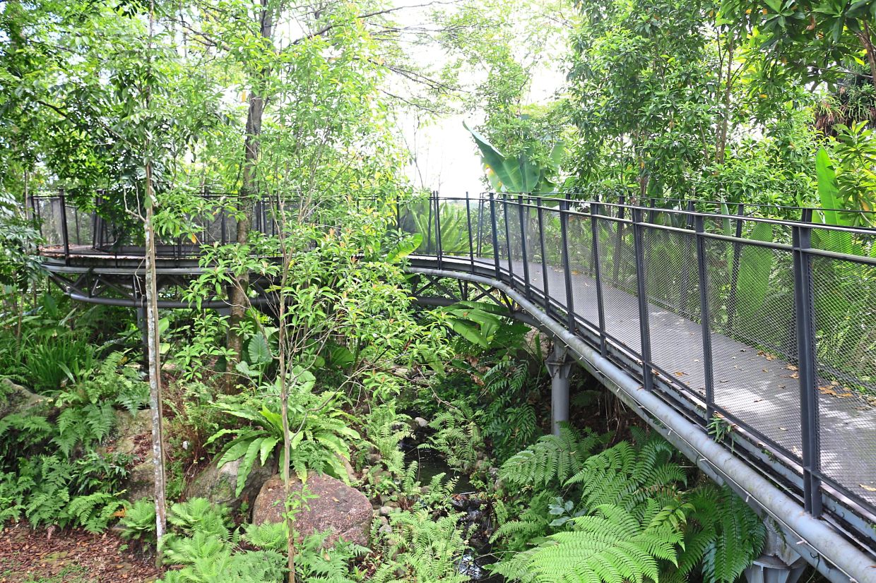 The canopy bridge in Titiwangsa Lake can be emulated to facilitate movement of wildlife beneath the structure and allowing water to flow unobstructed.