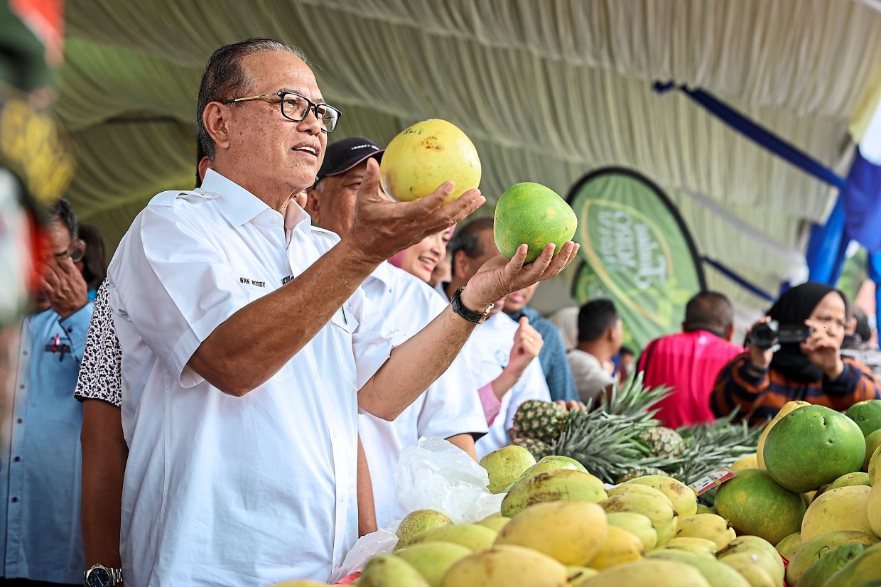 Winning the hearts of Felda settlers - Vimarsana News