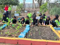 Working with worms outside classroom