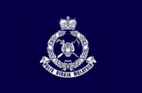 QuickCheck: Did a tapir collision accident in Johor cause injuries to road users?
