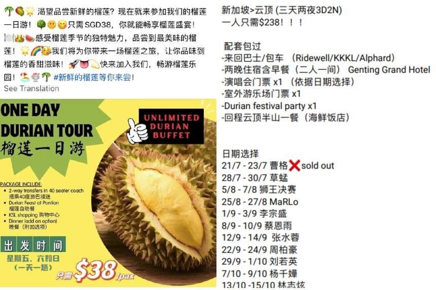 Over 40 people lost at least S$1.2mil in September to travel package scams - Vimarsana News