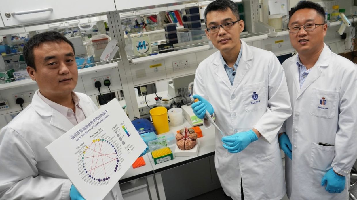 Scientists from Hong Kong, Beijing, South Korea create AI tool to ...