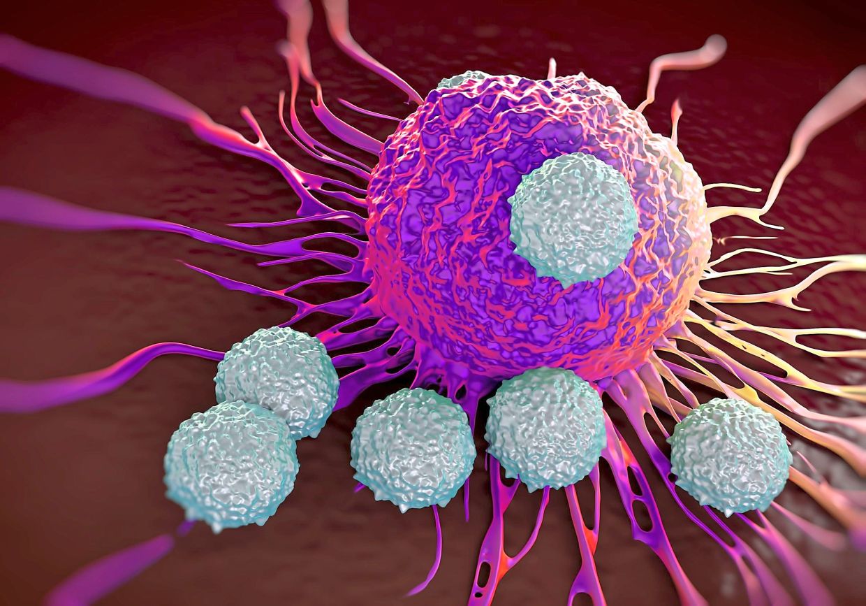 Creating a 'suit of armour' for CAR T cancer-fighting cells - Vimarsana News
