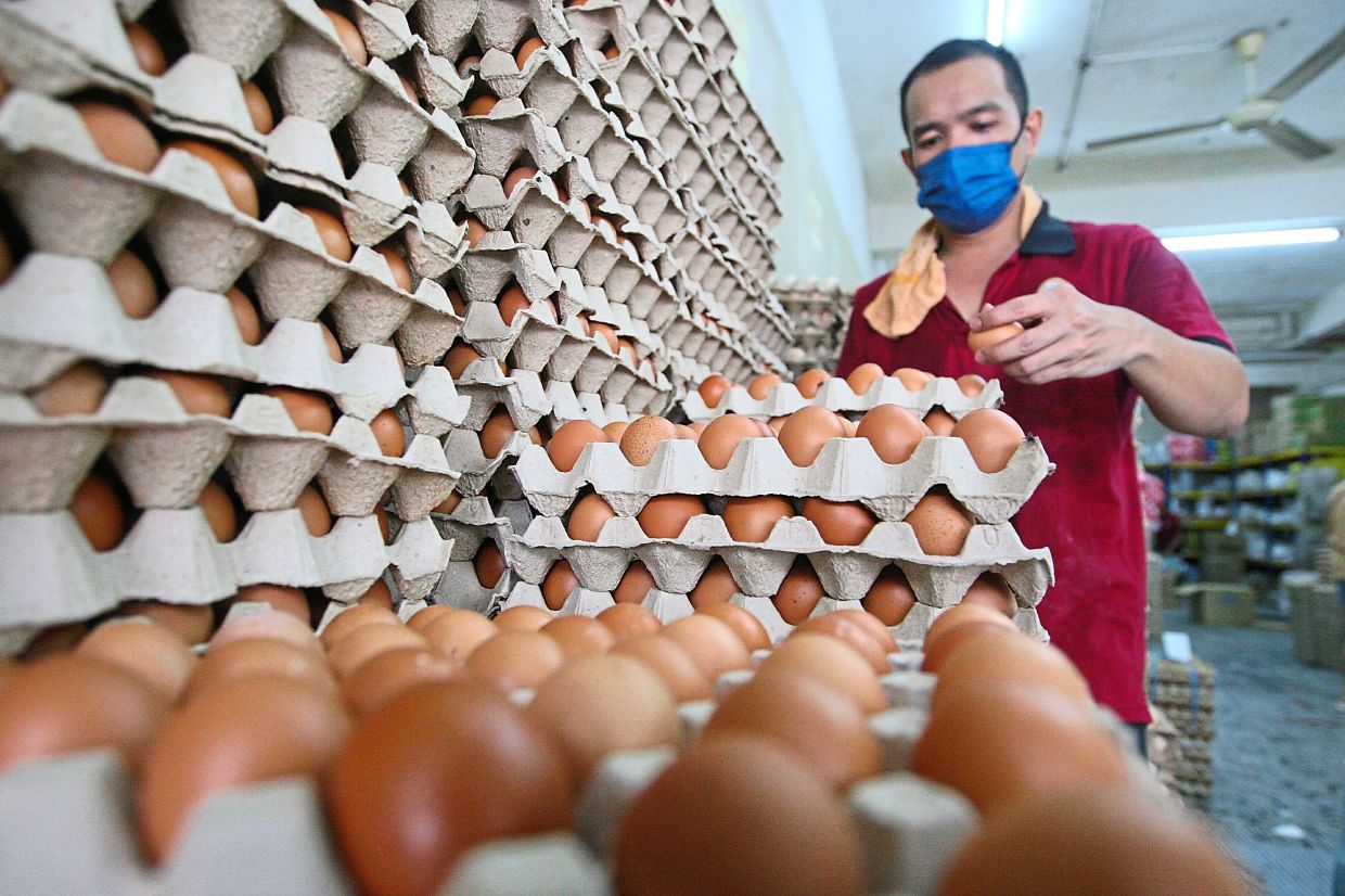 Expect short-term volatility after removal of price cap - Vimarsana News