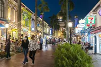 Shophouses are now blazing-hot properties